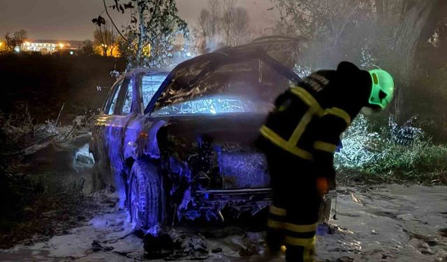 Tarlada park halindeki otomobil alev topuna döndü, geriye demir yığınları kaldı