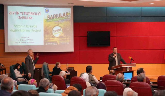 Tarsus'ta Sarıulak zeytini için üreticilere eğitim verildi