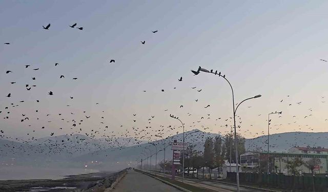 Tatvan sahilinde gökyüzünde sıra dışı manzara