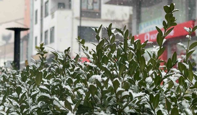 Tatvan'da kar yağışı