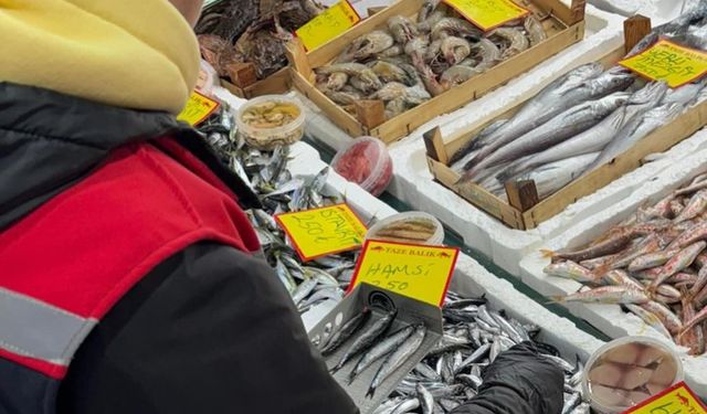 Tekirdağ'da perakende balık satış noktalarına sıkı denetim