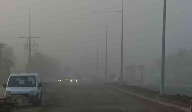 Tekirdağ'da sis etkili oldu