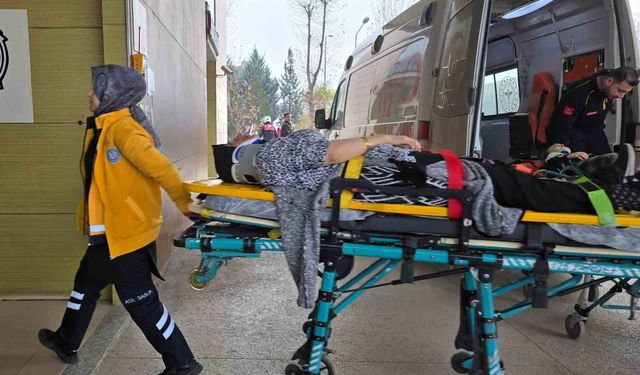 Ticari araç ağaca çarptı: 1'i çocuk 2 yaralı