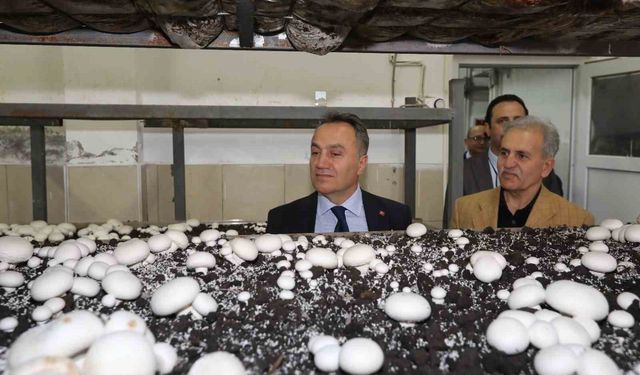 TOGÜ'de üretime dayalı eğitim modelleri güçleniyor