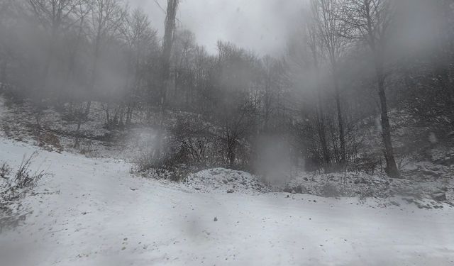 Tokat'ta kesimlerinde kar yağışı etkili oldu