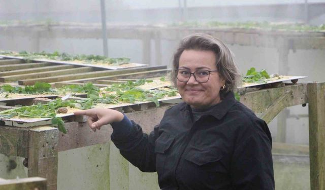 Trabzon'dan dünyaya 'Googlis'