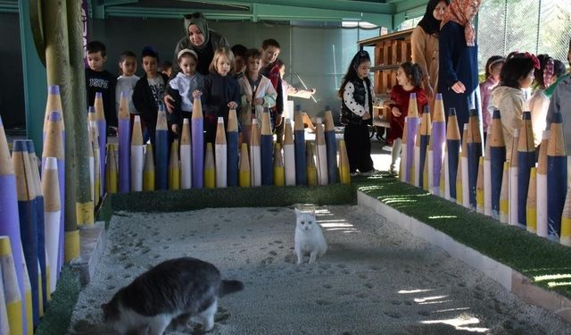 Türkiye'de ilk olan 'Küçük Dostlar Ambulansı' ile 10 bin 280 can kurtarıldı