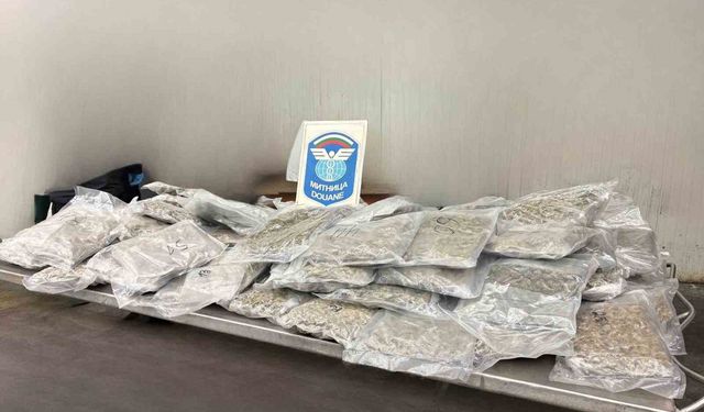 Türkiye'ye sokulmak istenen 22 kilo 560 esrar sınırda yakalandı