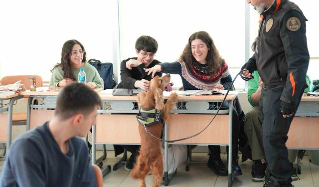 Üniversitelilerin ilgi odağı narkotik köpeği 'Leo' oldu