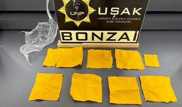 Uşak'ta çok sayıda uyuşturucu madde ele geçirildi