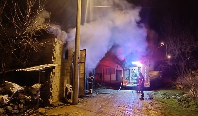 Uşak'ta samanlıkta çıkan yangında 5 koyun telef oldu