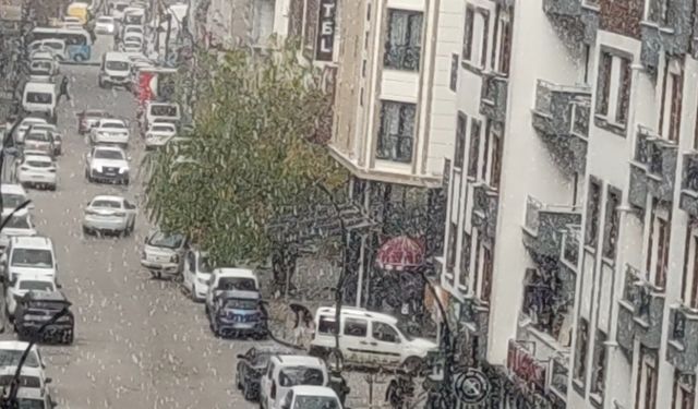Van'da dolu yağışı şehri beyaza bürüdü