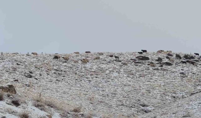 Van'da kış yüzünü gösterdi: Erek Dağı ve çevresi beyaza büründü