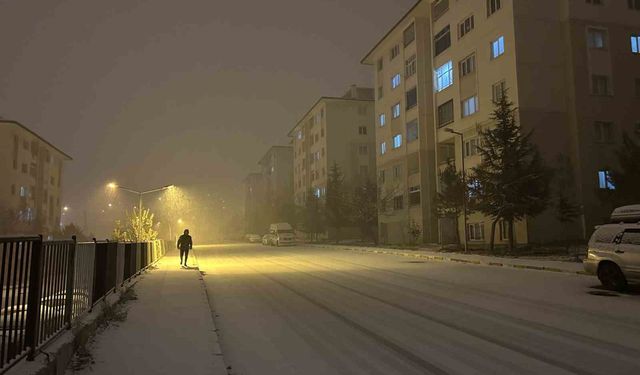 Van'da yoğun kar yağışı