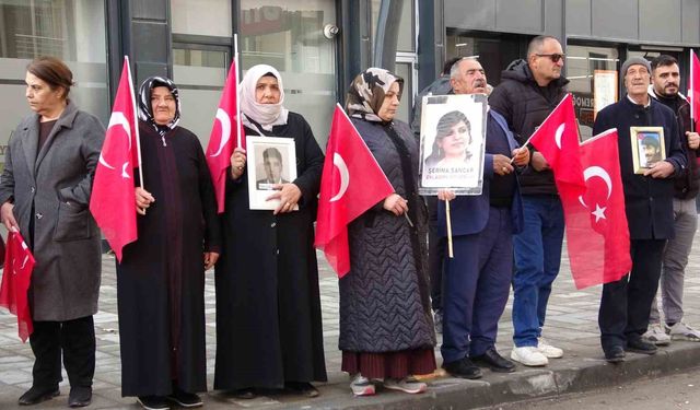 Vanlı annelerin evlat nöbeti 114'üncü haftasında