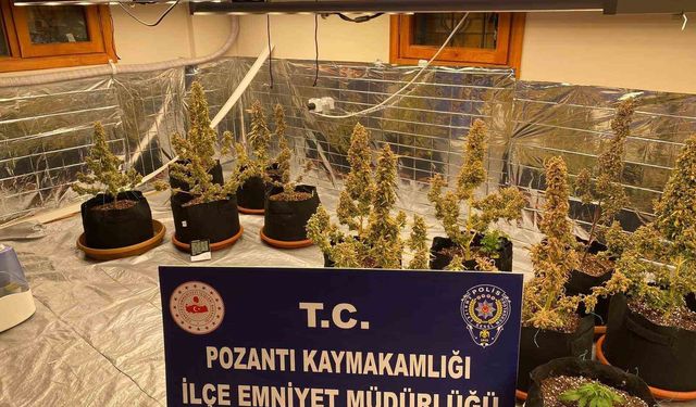 Villada uyuşturucu yetiştirmişler: Torbacı 'sevgililer' yakalandı, 4 kilo uyuşturucu ele geçirildi