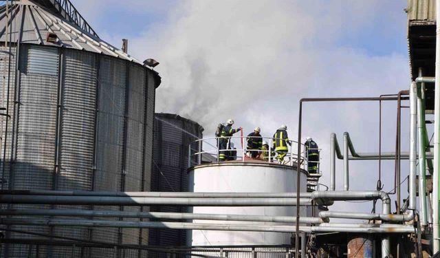 Yağ fabrikasında yangın