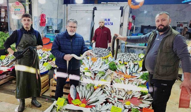 Yılan balıkları7 bin kilometre kat ederek Meksika Körfezi'nden Aydın'a ulaştı
