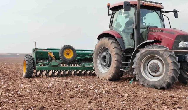 Yıldız Tarım, Mardin'de yerli tohum üretimini güçlendirip ihracatta hedef büyütüyor