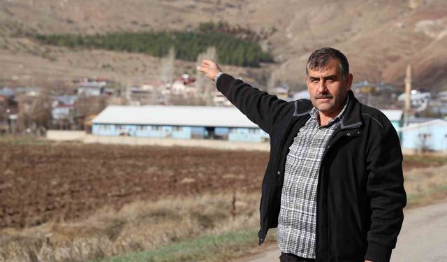 Yıllar önce gölgelenecek ağaç yoktu, şimdi ise ormanlık alana dönüştü