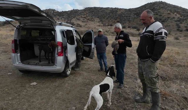 Yozgat'ta yaşanan kuraklık avcıları da vurdu