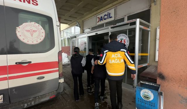 Yüksekova'da Yerli Malı Haftası sonrası gıda zehirlenmesi şüphesi: 40 öğrenci hastanelik oldu