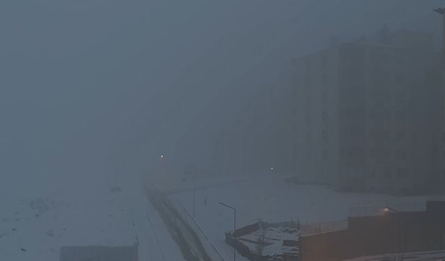 Yüksekova'da yoğun sis hayatı felç etti