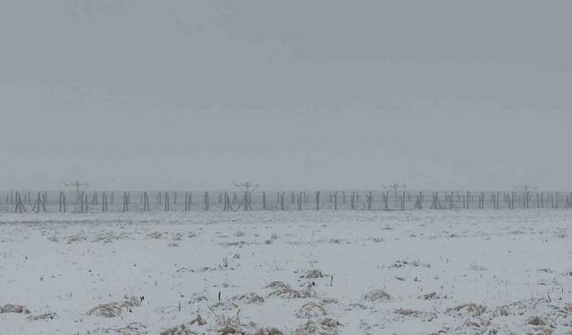 Yüksekova'da yoğun yağışlar uçak seferlerini durdurdu