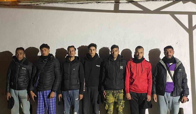 Yunanistan'a geçmeye çalışan 7 düzensiz göçmen yakalandı
