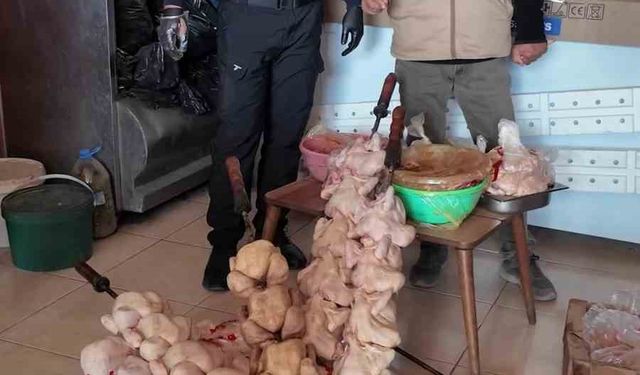 Zabıta ekiplerinin 'Leş kokusu var' dediği dönercide mide bulandıran görüntü