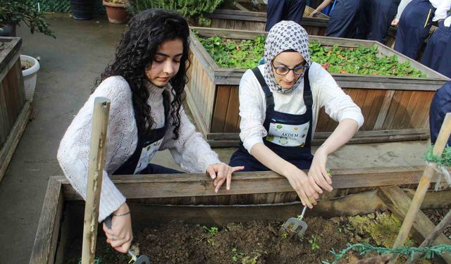 Zeytinburnu'nda ergoterapi öğrencileri engeli olan bireylerle birlikte fide ekti