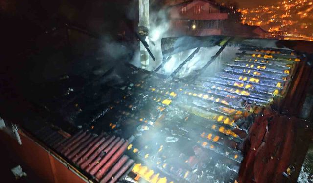 Zonguldak'ta alevler geceyi aydınlattı, itfaiye papağanı yangın ortasından kurtardı