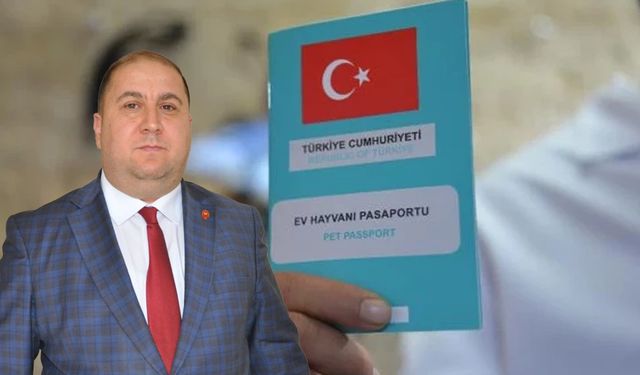 Yozgat'ta kimliksiz hayvanlar için ceza uygulanacak