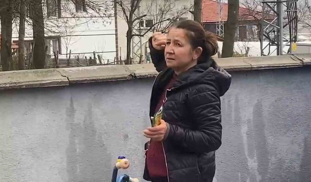 Ağaçta mahsur kalan kedi bir haftadır kurtarılmayı bekliyor