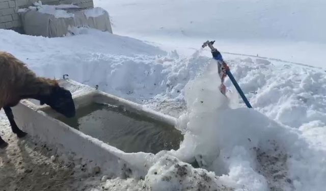 Ağrı'da soğuk hava etkisini göstermeye devam ediyor