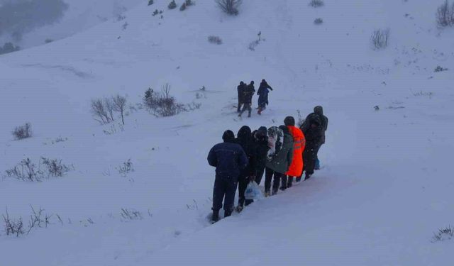 Artvin'de çığ altında kalan çobanları arama çalışmaları sürüyor