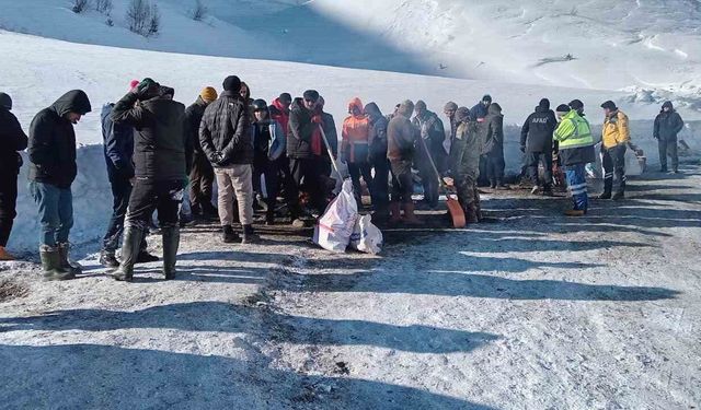 Artvin'de çığ faciasındaki kayıp çoban için arama çalışmaları üçüncü gününde yeniden başladı