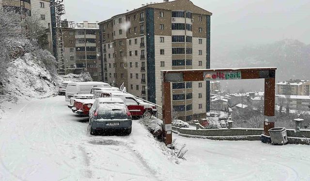 Artvin'de kar etkili oluyor