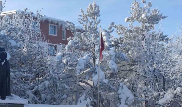 Aşkale'de dondurucu soğuklar hayatı felç etti