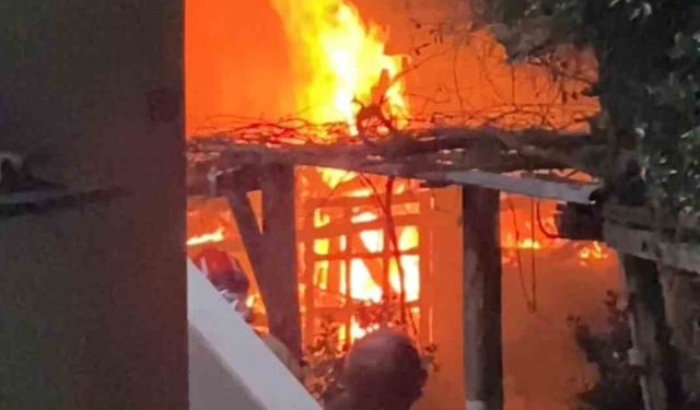 Bartın'da odunluk yangını paniğe neden oldu