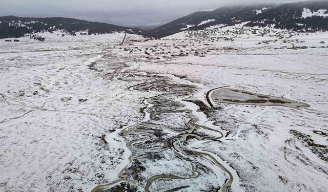 Başkent'in Karadeniz'i Benli Yaylası eşsiz doğasıyla ziyaretçilerini bekliyor