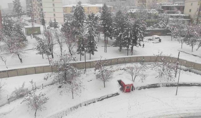 Batman'da bir ilçede eğitime kar tatili