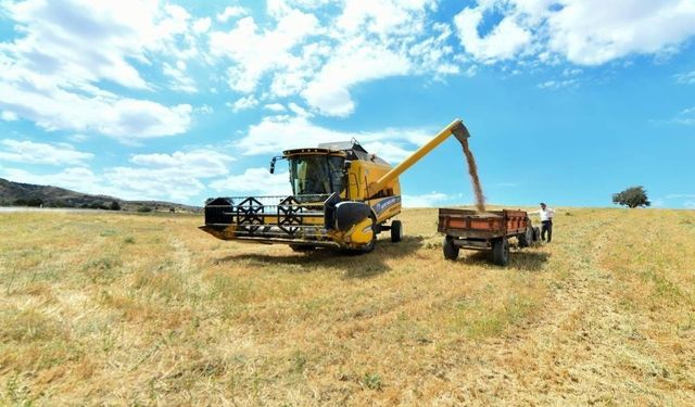 Bayburt'ta üreticiye yüzde 40 devlet katkılı yem desteği verilecek