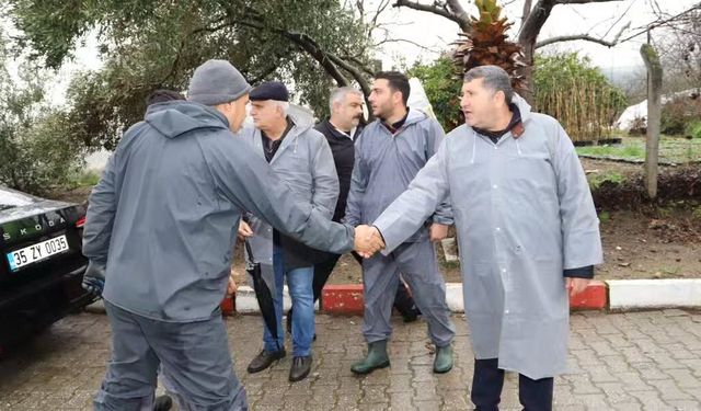 Bayındır Nergis ve Kuru Çiçek Festivali iptal edildi