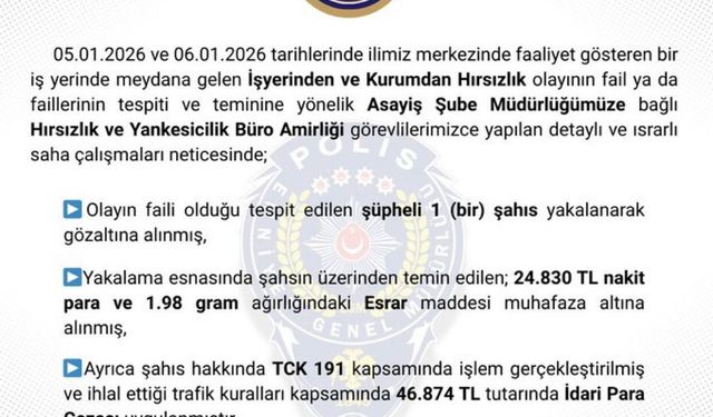 Bingöl'de hırsızlık yapan şüpheli tutuklandı