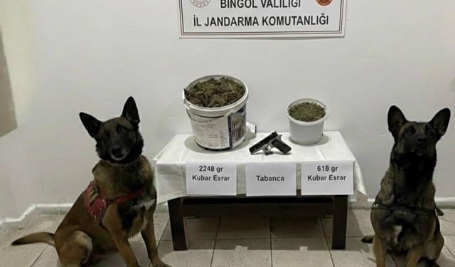 Bingöl'de uyuşturucu operasyonu: 3 gözaltı