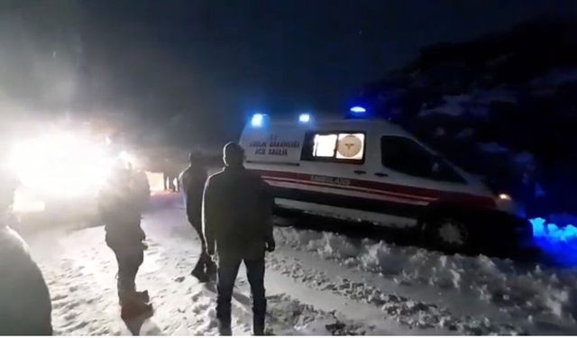 Bingöl'de yoğun kar yağışı sonrası ekipler seferber oldu