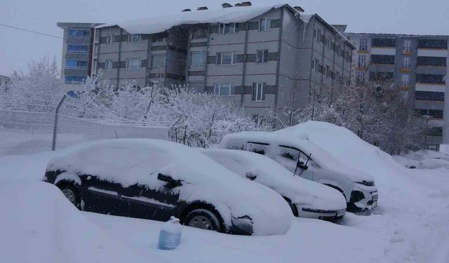 Bitlis'te kar esareti, 229 köy yolu ulaşıma kapalı