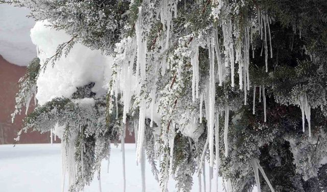 Bitlis'te karla mücadeleye rekor yakıt harcaması