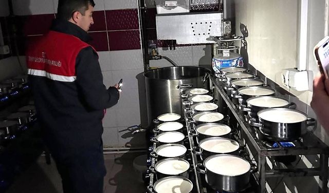 Bolvadin ve Dazkırı'da gıda işletmelerine yönelik denetim